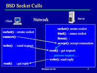 BSD Socket calls
